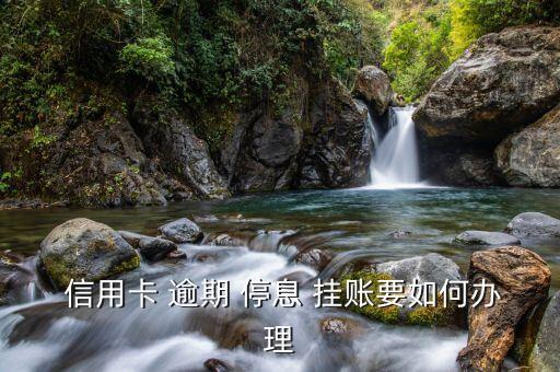  信用卡 逾期 停息 挂账要如何办理
