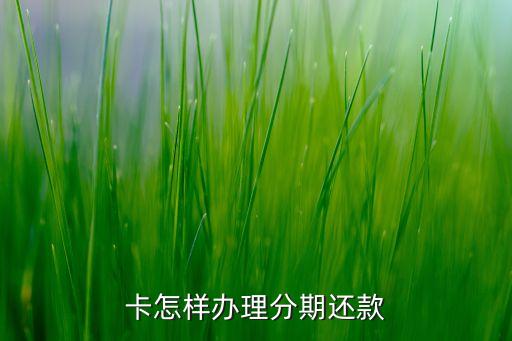 卡怎样办理分期还款