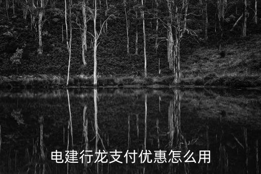 电建行龙支付优惠怎么用