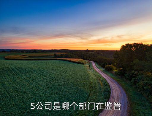 S公司是哪个部门在监管