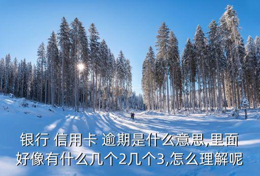 银行 信用卡 逾期是什么意思,里面好像有什么几个2几个3,怎么理解呢