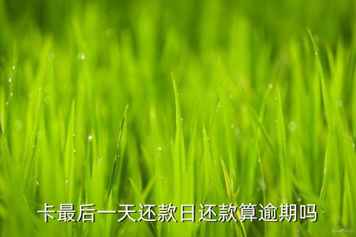 卡最后一天还款日还款算逾期吗