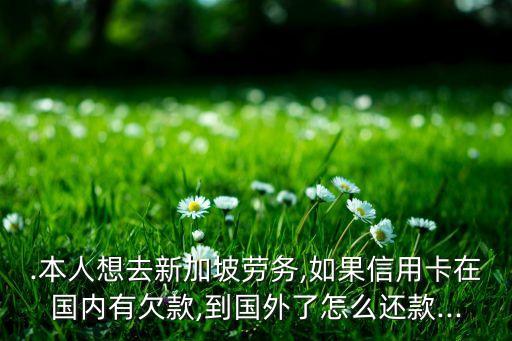 .本人想去新加坡劳务,如果信用卡在国内有欠款,到国外了怎么还款...