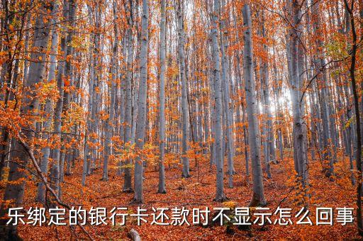 信用卡绑定分期乐,分期音乐绑定信用卡的后果