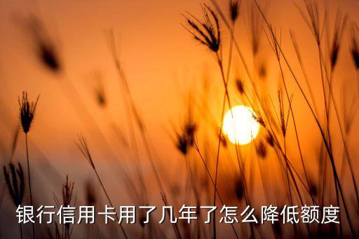 银行信用卡用了几年了怎么降低额度