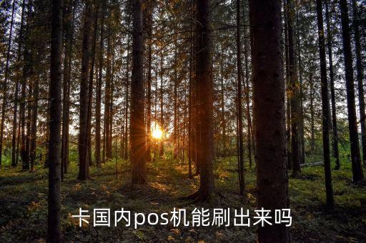 卡国内pos机能刷出来吗