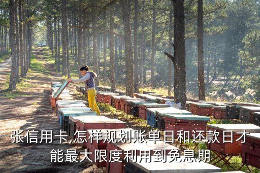 张信用卡,怎样规划账单日和还款日才能最大限度利用到免息期