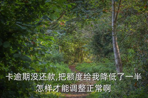 卡逾期没还款,把额度给我降低了一半怎样才能调整正常啊