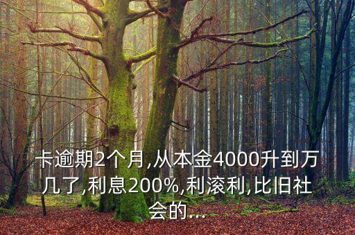 卡逾期2个月,从本金4000升到万几了,利息200%,利滚利,比旧社会的...