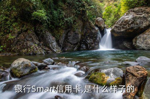 银行Smart信用卡,是什么样子的