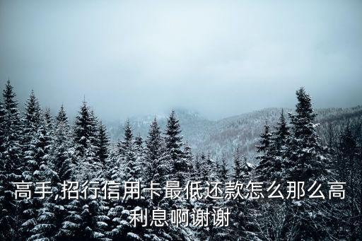 高手,招行信用卡最低还款怎么那么高利息啊谢谢