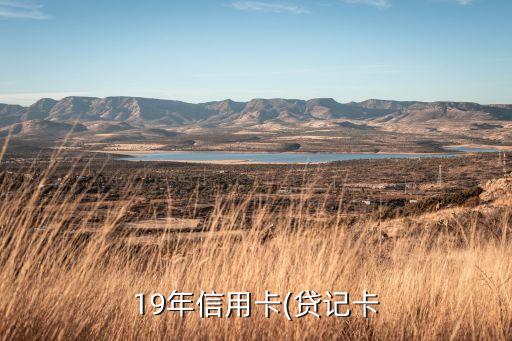 19年信用卡(贷记卡