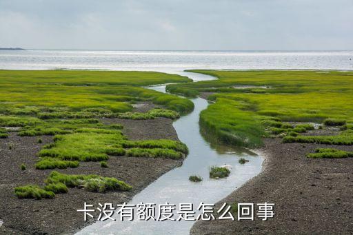 卡没有额度是怎么回事