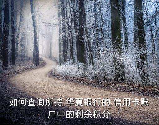 如何查询所持 华夏银行的 信用卡账户中的剩余积分