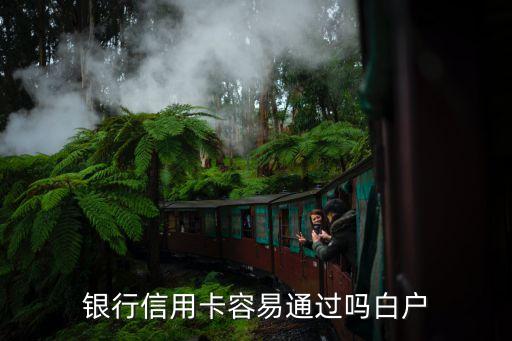 银行信用卡容易通过吗白户