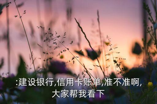:建设银行,信用卡账单,准不准啊,大家帮我看下