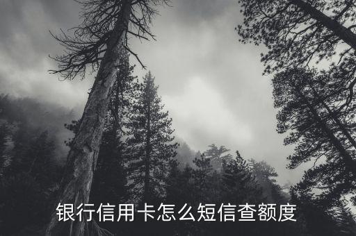 银行信用卡怎么短信查额度