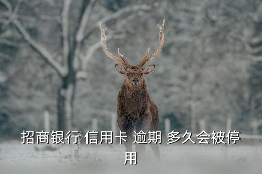 招商银行 信用卡 逾期 多久会被停用