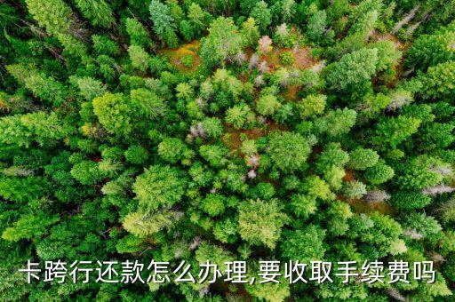 信用卡跨行汇款还款,中国建设银行信用卡跨行还款