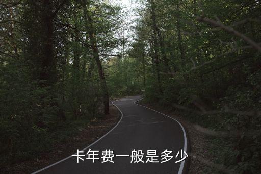 卡年费一般是多少