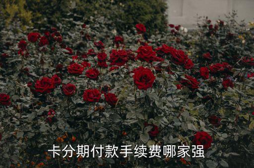 广发银行信用卡喜欢人分期,信用卡分期手续费哪个强