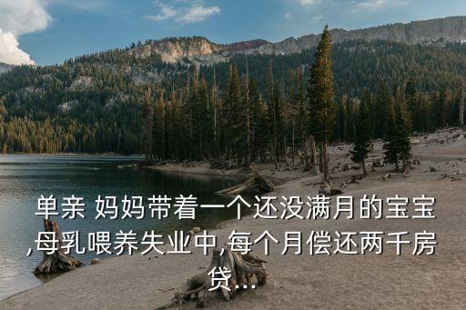  单亲 妈妈带着一个还没满月的宝宝,母乳喂养失业中,每个月偿还两千房贷...