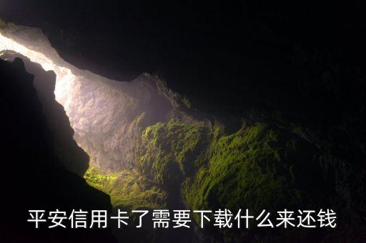 如何下载信用卡还款软件,信用卡还款下载什么软件