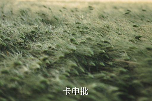 卡申批