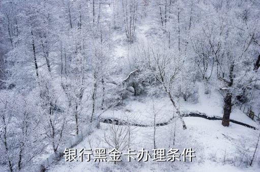 银行黑金卡办理条件