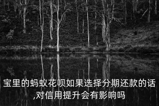 宝里的蚂蚁花呗如果选择分期还款的话,对信用提升会有影响吗