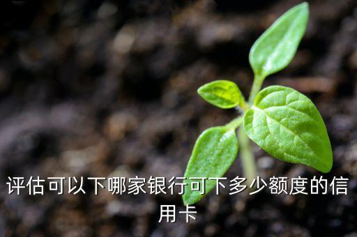 评估可以下哪家银行可下多少额度的信用卡