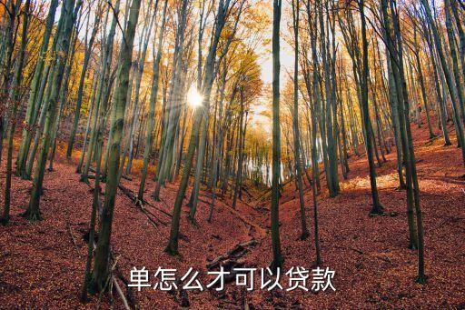 单怎么才可以贷款