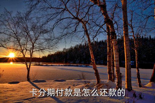 卡分期付款是怎么还款的