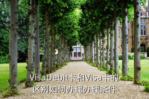 VisaDebit卡和Visa卡的区别如何办理办理条件