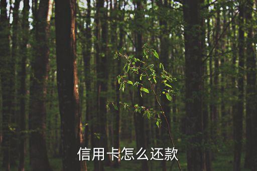 东亚银行信用卡连续降额,如何提高东亚银行信用卡额度