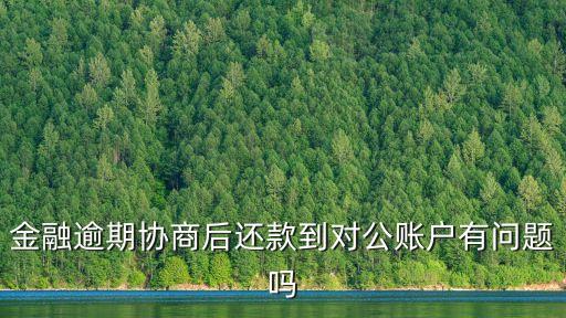 信用卡还款用对公帐户,还信用卡对公账户的钱
