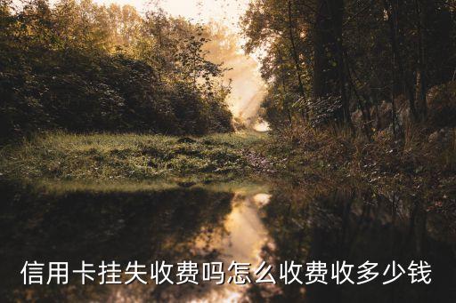 信用卡挂失收费吗怎么收费收多少钱