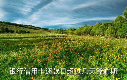 银行信用卡还款日超过几天算逾期