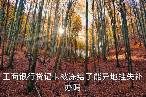 工商银行贷记卡被冻结了能异地挂失补办吗