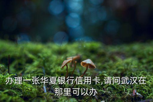 办理一张华夏银行信用卡,请问武汉在那里可以办