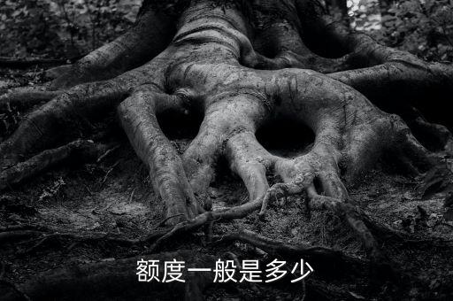 额度一般是多少
