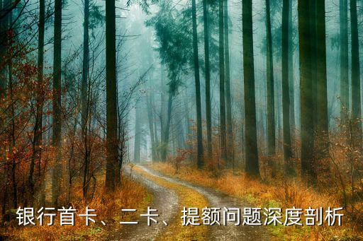 农业信用卡首卡额度,中国农业银行第一张信用卡