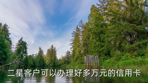 二星客户可以办理好多万元的信用卡