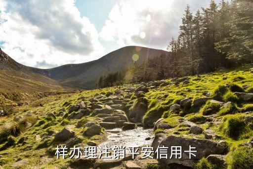 样办理注销平安信用卡