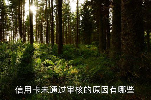 信用卡老申请不过怎么回事,为什么信用卡总是申请不成功