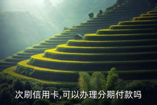 次刷信用卡,可以办理分期付款吗