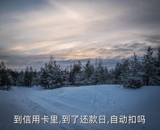 到信用卡里,到了还款日,自动扣吗