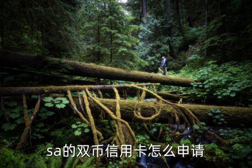 sa的双币信用卡怎么申请