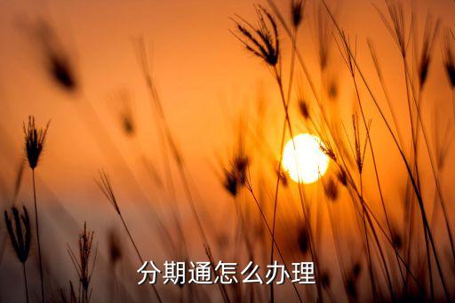 分期通怎么办理