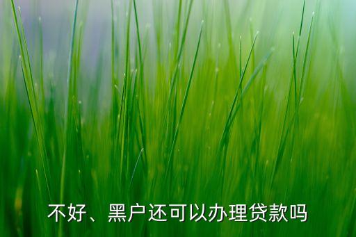 不好、黑户还可以办理贷款吗